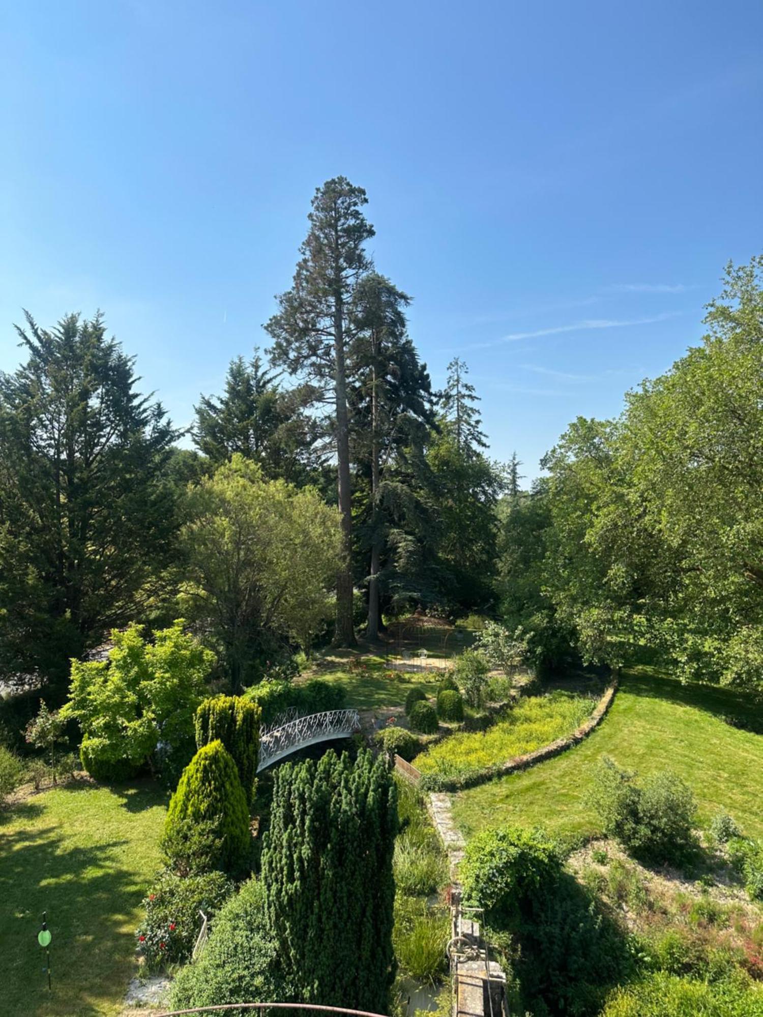 مبيت وإفطار Le Moulin De Francueil المظهر الخارجي الصورة