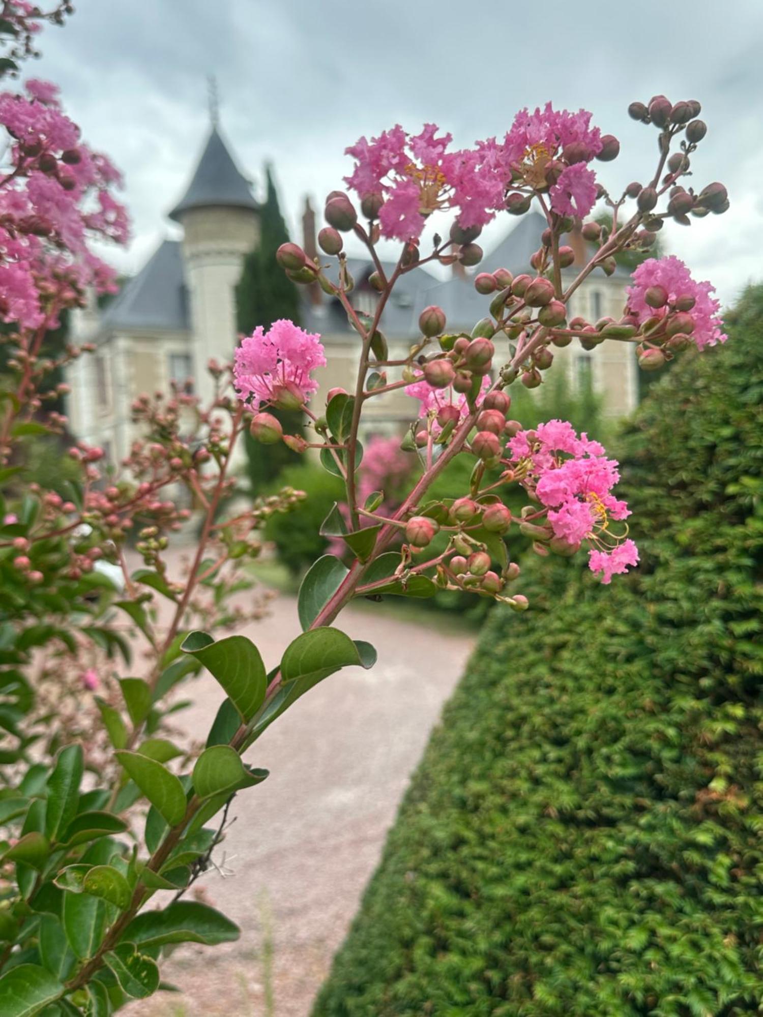 مبيت وإفطار Le Moulin De Francueil المظهر الخارجي الصورة